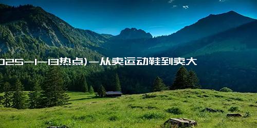 (2025-1-13热点)-从卖运动鞋到卖大米 退市的贵人鸟改名 还有机会重新上市吗？